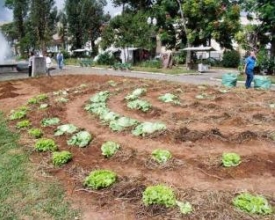 Jardim da Praça Getúlio Vargas vira horta urbana em protesto