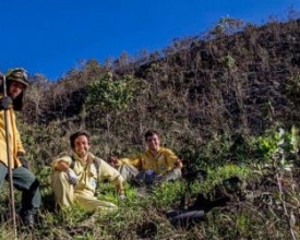 Em defesa da Mata Atlântica: conheça o trabalho dos guarda-parques