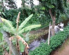 Água desviada do Rio Cônego continua incomodando moradores de condomínio