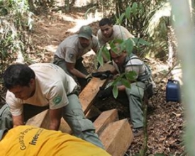 Guarda-parques apreendem madeira ilegal no Parque Estadual do Desengano