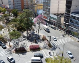 Código de Trânsito‭ ‬Brasileiro chega à ‘maioridade’ cheio de desafios