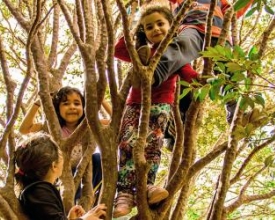 Escola Vale de Luz é tema de exposição fotográfica no Cadima Shopping