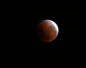 Eclipse lunar atrai grande público ao planetário