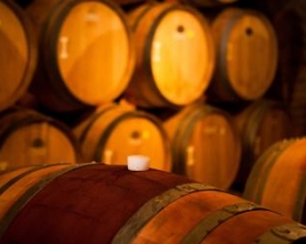 Fórum debate a força da cachaça como atrativo turístico do estado