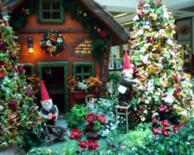 Concurso de decoração de Natal da Acianf está com inscrições abertas