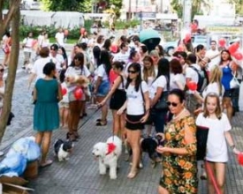 Primeira 'Cãominhada de Nova Friburgo' neste domingo