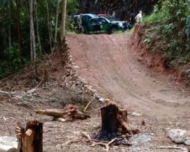 Árvores são cortadas em Área de Preservação Permanente em Lumiar