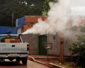 Uso indiscriminado de fumacê aumenta a população de mosquitos imunes 