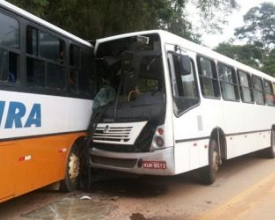 Dois ônibus colidem e cinco pessoas ficam feridas na RJ-146