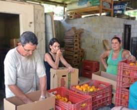 Agricultura familiar é tema de encontro do Sebrae