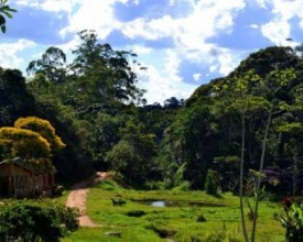 Sítio‭ ‬em Nova Friburgo‭ ‬é destaque no programa de Bela Gil no canal GNT