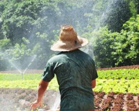 ​A força da agricultura familiar na região mais fértil do Estado do Rio