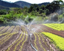 Friburgo sedia nesta quinta encontro de Agricultura para incentivar o setor