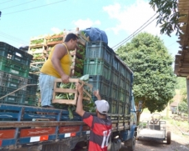 Chamada pública para agricultura familiar termina nesta quinta-feira