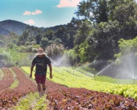 Em Friburgo, mais da metade da merenda escolar vem da agricultura familiar