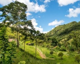 Na roça do Stucky tem um jardim de sabores, cores e cheiros  