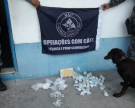 Cães policiais encontram drogas em terreno do Sanatório Naval