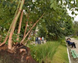 MPF quer novo cronograma para ações de revitalização da Praça Getúlio Vargas