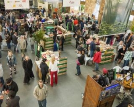 Projeto Mercado Central atrai centenas à Estação Livre