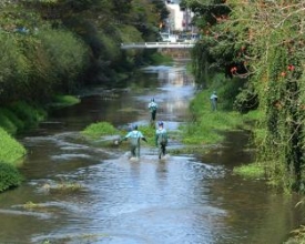 Mais de 70 pneus são retirados do leito do Rio Bengalas