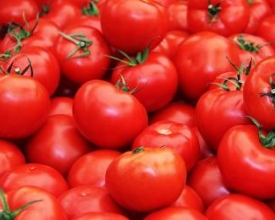 Tomate sobe 29% em uma semana