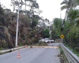 Árvore cai sobre poste e deixa moradores sem luz em Conselheiro