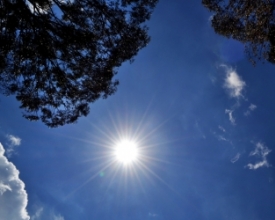 A gangorra das temperaturas em Friburgo