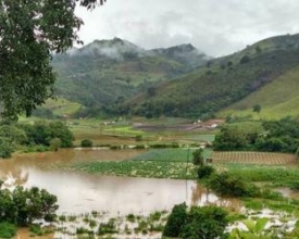 Secretaria de Agricultura contabiliza danos em lavouras de Salinas