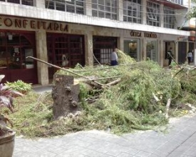 Fim de semana de ventos e preocupação em Nova Friburgo  
