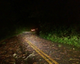 Temporal provoca queda de árvores e postes e deixa casa e via interditadas