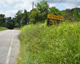 RJ-150: moradores fazem mutirão para capina de estrada sem manutenção