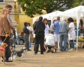 Unidade móvel atende mais de 500 animais em Nova Friburgo