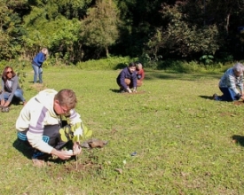 Friburgo receberá 200 mil mudas de árvores nativas até 2018