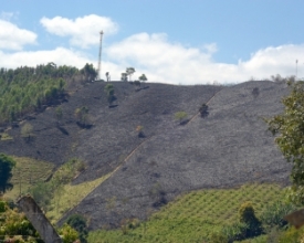 Nova Friburgo tem 10 focos de incêndio num só dia