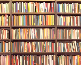Nossos escritores, nossos artistas 