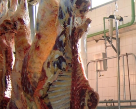 Governo do estado zera ICMS da carne