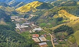 Flores: o símbolo  máximo da primavera