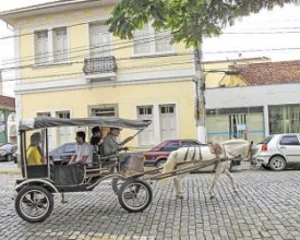 Uso de animais para frete está proibido‭ nos centros urbanos do‭ ‬Estado do Rio