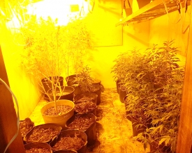 Sítio em Boa Esperança era usado para refino de drogas