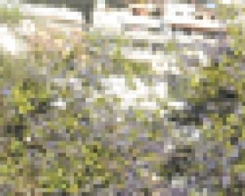 Oficial do Bope morto no Rio é enterrado em Nova Friburgo