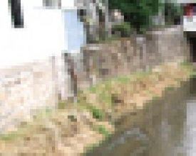Sujeira em trecho do Rio Cônego é alvo de queixas da comunidade