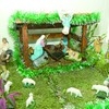 Feliz Natal, Nova Friburgo!!