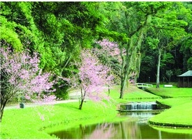 Inverno em Nova Friburgo oferece variedade de opções gastronômicas e de passeios ao ar livre