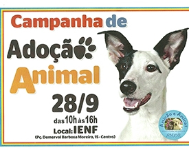 Projeto Amicão e Amicat promove dia 28 campanha de adoção animal no Ienf
