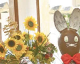 Delícias da Chocolataria Suíça ao alcance de friburguenses e turistas