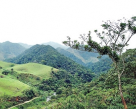 Inverno é a estação ideal para curtir a natureza e os passeios ao ar livre