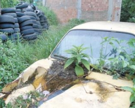 Carros sucateados: reflexos de uma cidade abandonada?