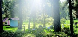 Turismo aquecido em Nova Friburgo
