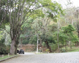 As ruas de Nova Friburgo bem  que poderiam ter mais árvores...