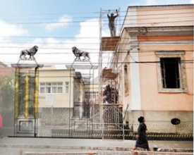 Onde foram parar os nossos leões?